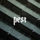 Pest Single