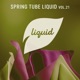 Spring Tube Liquid Vol 21 EP