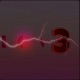 Lov3 Single