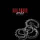 Hollywood Single