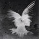phantasm EP
