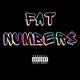 Fat Number Single
