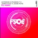 Fly Away Single