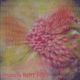 Fruitless Berry Bush feat Emjay Single