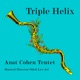 Triple Helix