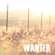 Wanted Single