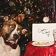 Christmas Without You Single
