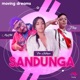 Sandunga feat Pao Sastoque Mad Fish J Loop Single