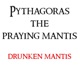 Drunken Mantis Single