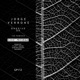Bassive the Remixes EP