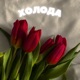 Холода Single