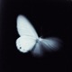 White Skies Single
