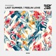 Last Summer Feelin Love Single