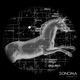 Monoceros Single