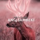 Angibambeki Radio Edit Single