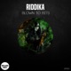Blown to Bits EP