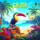 Calma Single