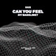 Can You Feel My Bassline feat Collester Single