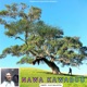 Nawa Kawadoo Single