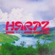 Hold Your Love Single