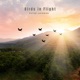 Birds in Flight EP