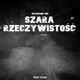 Szara Rzeczywistość zyga DISS feat Kylu Single