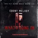What s Going On feat Ebony Melody Single