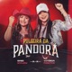 Pulseira Da Pandora Single