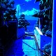 Scared Summer Single