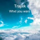 Whxt You Want feat SB Single