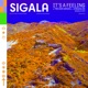 It s A Feeling Sigala VIP Mix Single