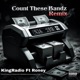 Count These Bandz feat Roney Remix Single
