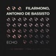 Echo Single