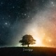 Beautiful Summer Single