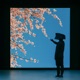 Reflection Single