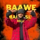Baawe Mai Dilli Se Single
