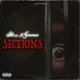 SECTIONS feat GENESIS Single