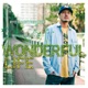 WONDERFUL LIFE Single