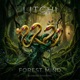 Forest Mind Single