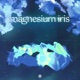 magnesium iris Single