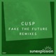 Fake the Future Remixes