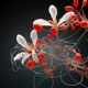 The Red Flavonoid Dope Single