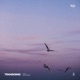Transcend feat Micah Martin Single