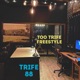Too Trife Freestyle Single