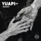 Yuapi