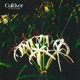 Cultiver Single