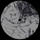 Spelunkerer Single
