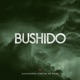 Bushido Alessandro Cortini Re Work Single
