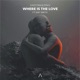 Where Is the Love feat Emy Smith Single