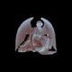 PLACE OF TRUST feat REPENT REMIX Single